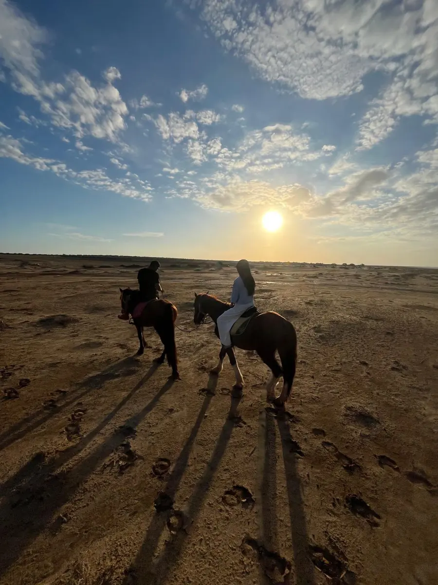 Deux cavaliers de dos face au soleil couchant, leurs ombres allongées sur le sable