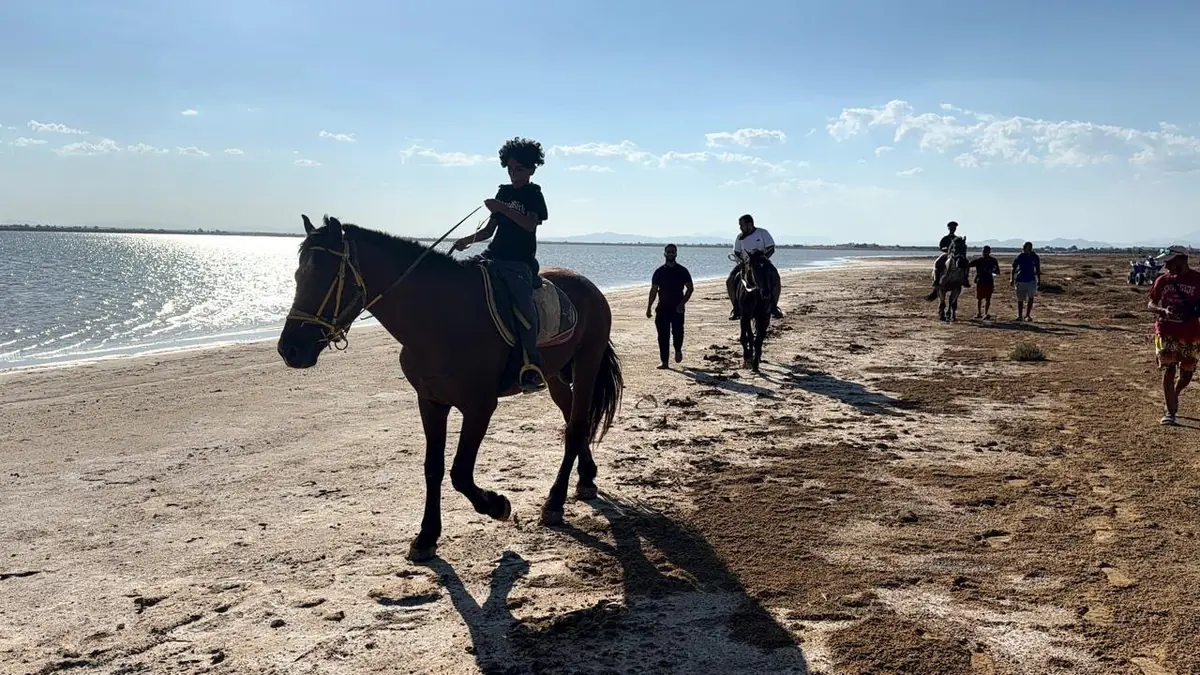 Un jeune cavalier au pas sur la plage, au bord de l'eau