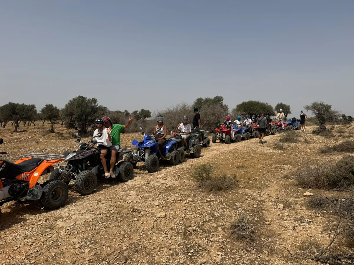 A line of quads on a track between olive trees